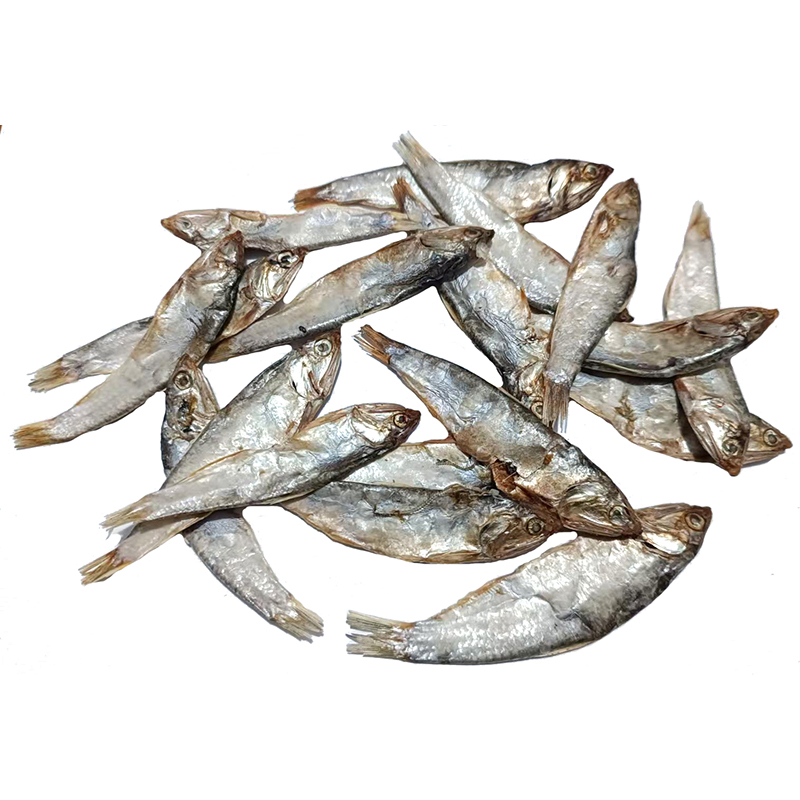 sprat03